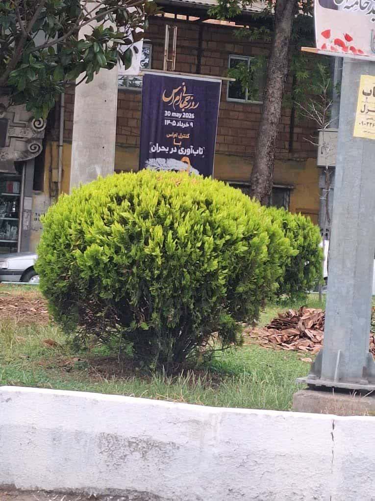 نصب بنرهای اطلاع‌رسانی به مناسبت روز جهانی ام‌اس در سطح شهر ساری